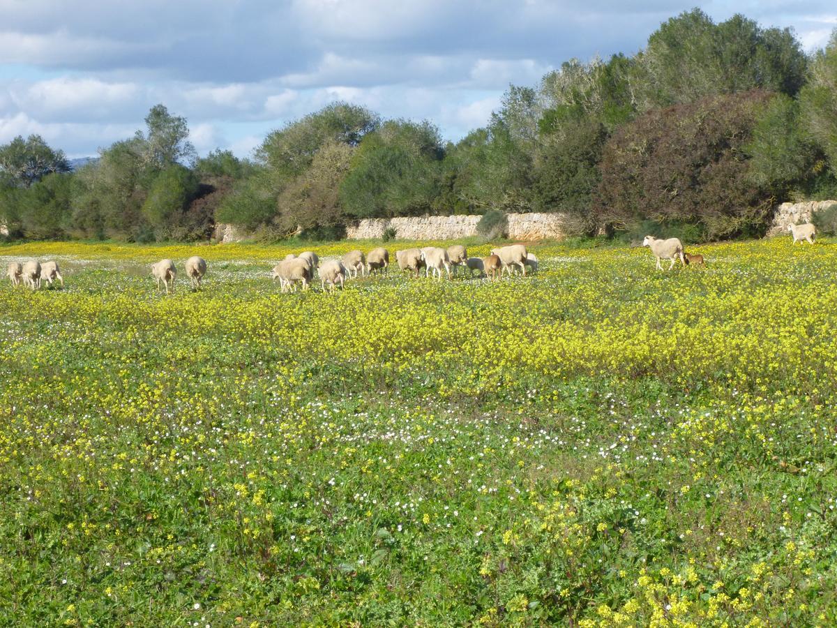 Agroturisme Son Llado Campos  Exterior photo